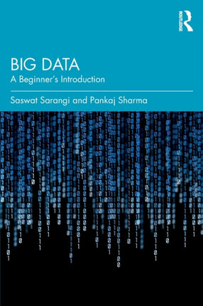 Big Data A Beginners Introduction