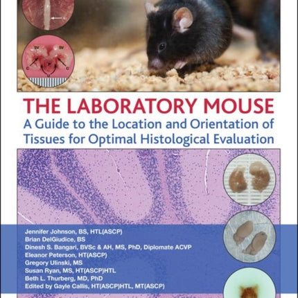 The Laboratory Mouse: A Guide to the Location and Orientation of Tissues for Optimal Histological Evaluation