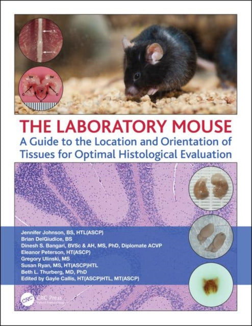 The Laboratory Mouse: A Guide to the Location and Orientation of Tissues for Optimal Histological Evaluation