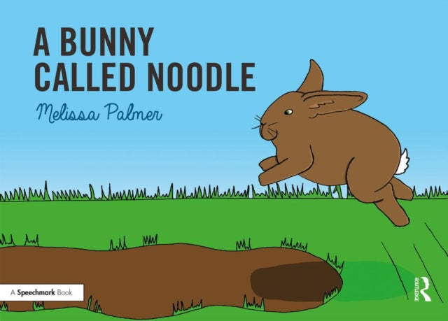 A Bunny Called Noodle: Targeting the n Sound