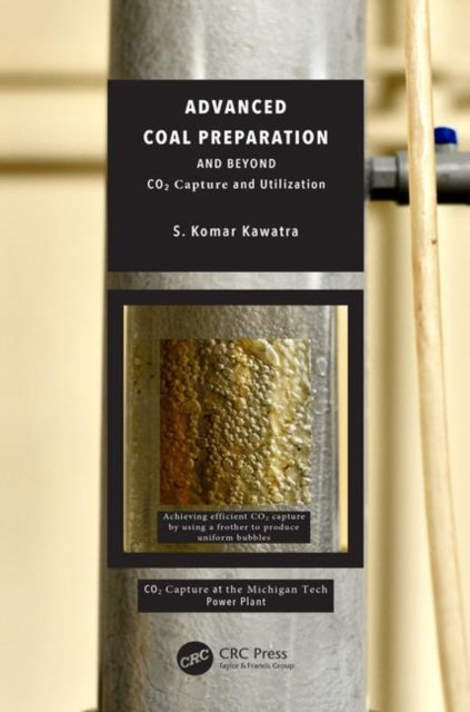 Advanced Coal Preparation and Beyond CO2 Capture and Utilization