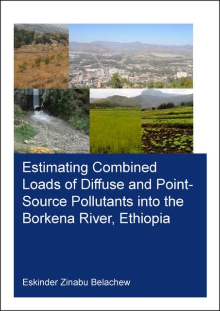 Estimating Combined Loads of Diffuse and PointSource Pollutants Into the Borkena River Ethiopia