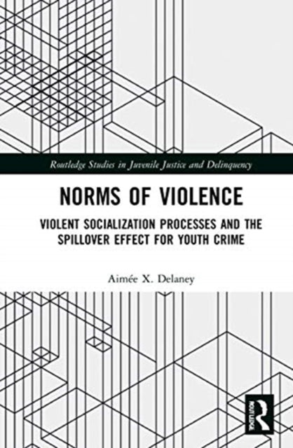 Norms of Violence Violent Socialization Processes and the Spillover Effect for Youth Crime Routledge Studies in Juvenile Justice and Delinquency