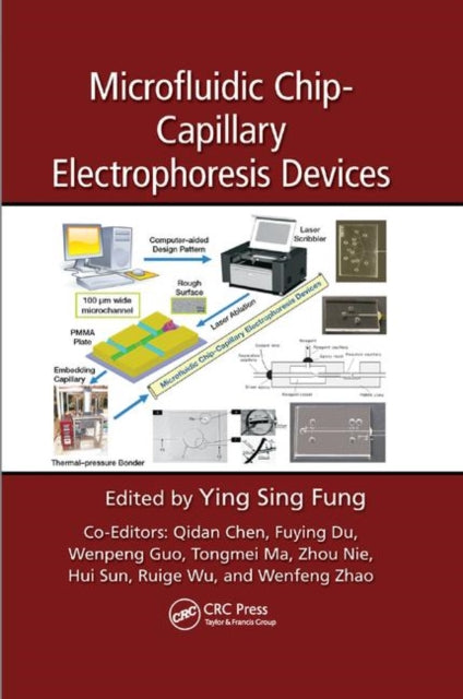 Microfluidic ChipCapillary Electrophoresis Devices