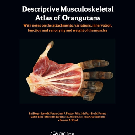 Photographic and Descriptive Musculoskeletal