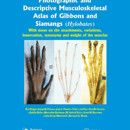 Photographic and Descriptive Musculoskeletal