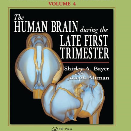 The Human Brain During the Late First Trimester