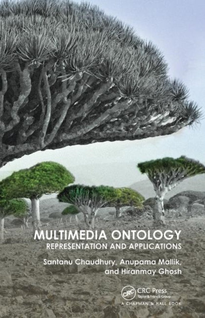 Multimedia Ontology: Representation and Applications