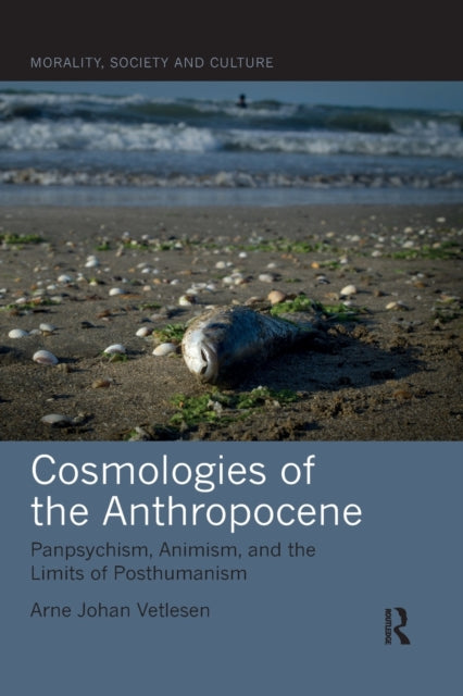 Cosmologies of the Anthropocene Panpsychism