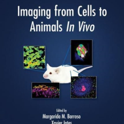 Imaging from Cells to Animals In Vivo