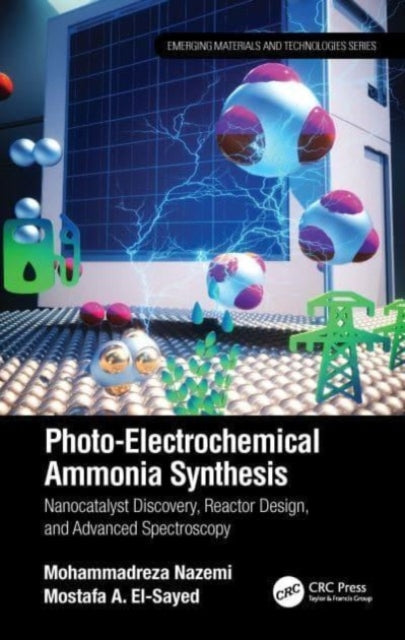 PhotoElectrochemical Ammonia Synthesis