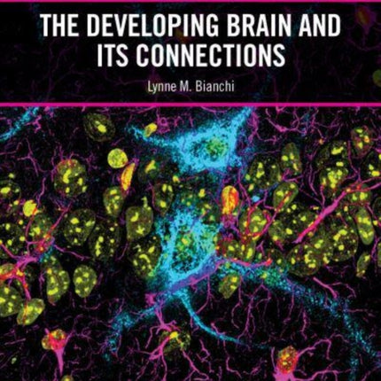 The Developing Brain and its Connections