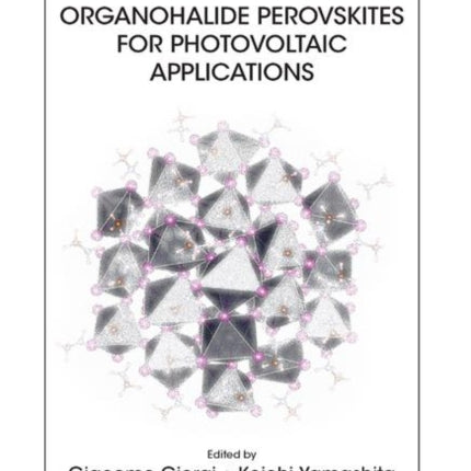 Theoretical Modeling of Organohalide Perovskites for Photovoltaic Applications