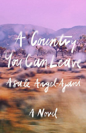 A Country You Can Leave: A Novel