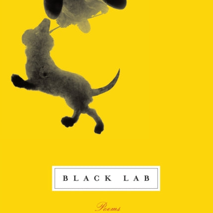 Black Lab: Poems