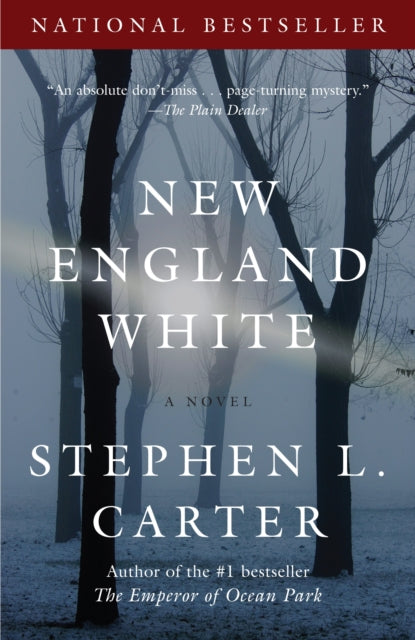 New England White: A Novel