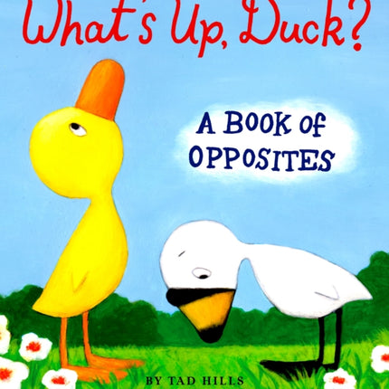 What's Up, Duck?: A Book of Opposites