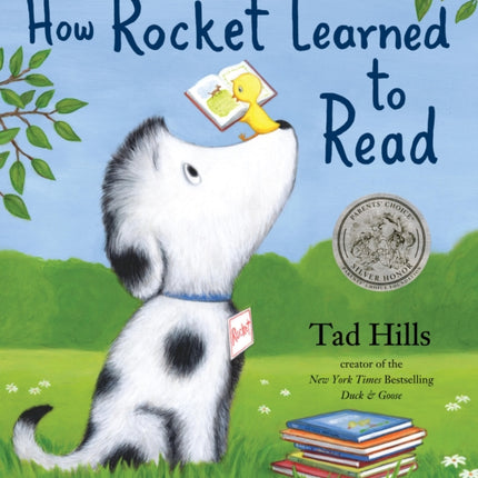 How Rocket Learned to Read