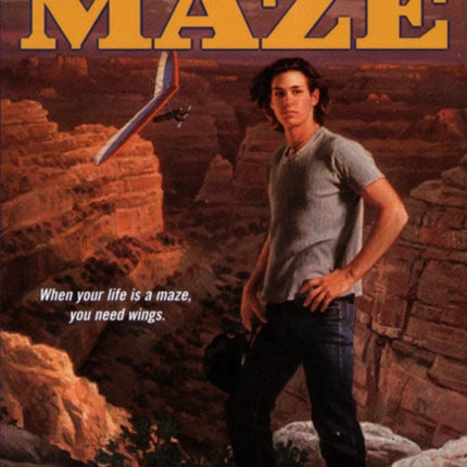 Maze