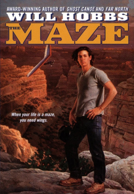 Maze