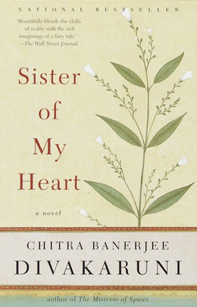 Sister of My Heart: A Novel