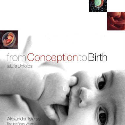 From Conception to Birth: A Life Unfolds