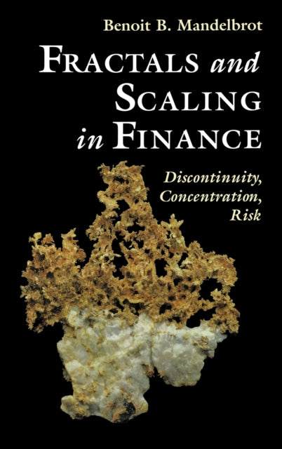 Fractals and Scaling in Finance Discontinuity