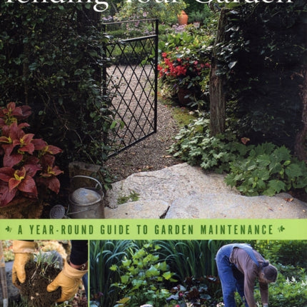 Tending Your Garden: A Year-Round Guide to Garden Maintenance