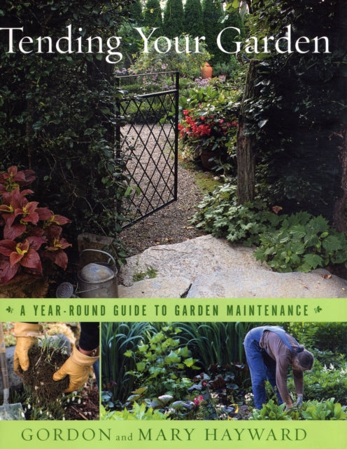 Tending Your Garden: A Year-Round Guide to Garden Maintenance