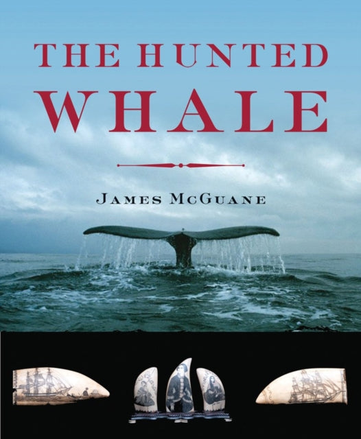 The Hunted Whale