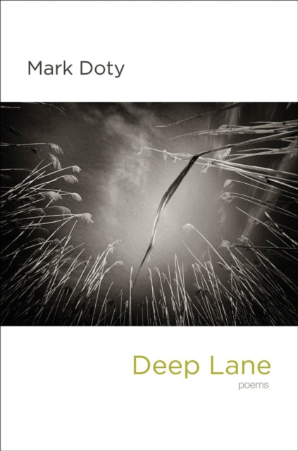 Deep Lane: Poems