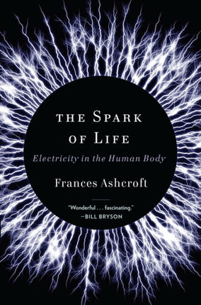 The Spark of Life Electricity in the Human Body
