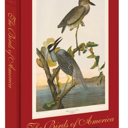 The Birds of America: The Bien Chromolithographic Edition