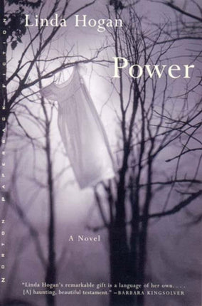 Power: A Novel