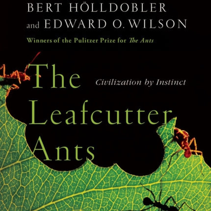 The Leafcutter Ants: Civilization by Instinct