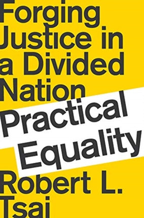 Practical Equality Forging Justice in a Divided