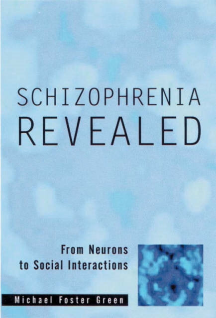 Schizophrenia Revealed From Neurons to Social Interactions