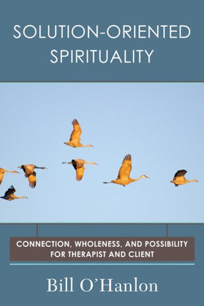 Solution-Oriented Spirituality: Connection, Wholeness, and Possibility for Therapist and Client