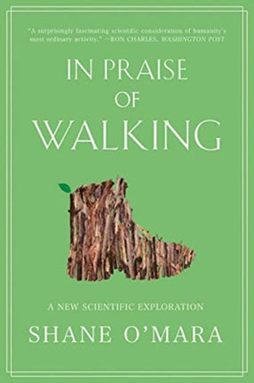 In Praise of Walking  A New Scientific