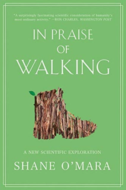 In Praise of Walking  A New Scientific