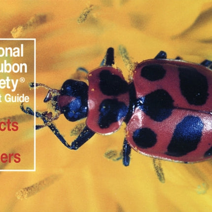 National Audubon Society Pocket Guide: Insects and Spiders