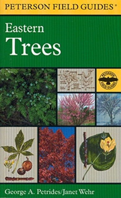 Peterson Field Guide To Eastern Trees, A