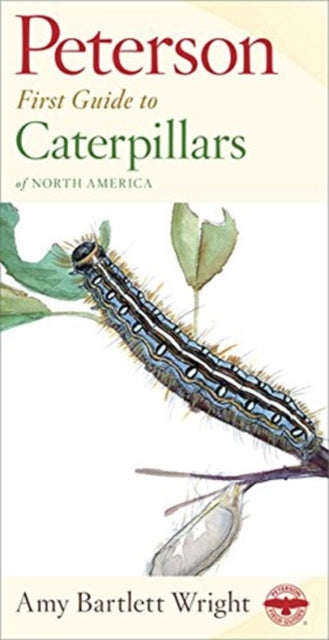 Peterson First Guide to Caterpillars of North America