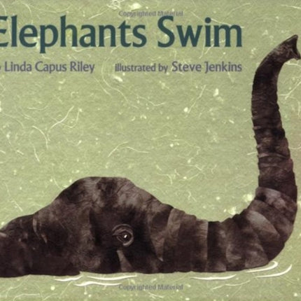 Elephants Swim