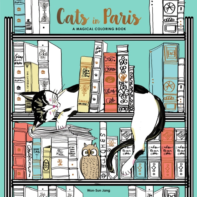 Cats in Paris: A Magical Coloring Book