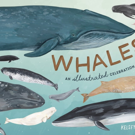 Whales: An Illustrated Celebration