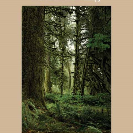 The Healing Magic of Forest Bathing: Finding Calm, Creativity, and Connection in the Natural World