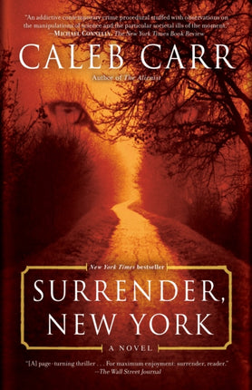 Surrender, New York: A Novel