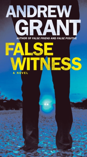 False Witness: A Novel