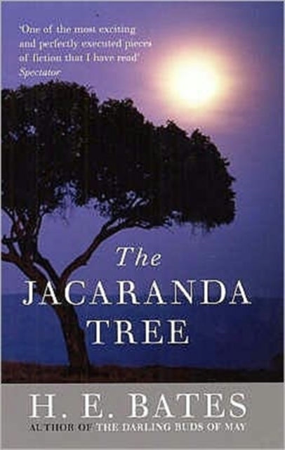 Jacaranda Tree, The